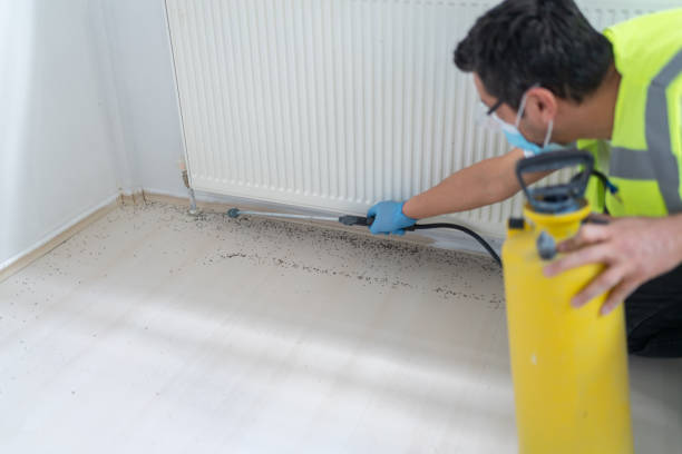 Best Affordable Pest Control Services  in Sunny Isles Beach, FL
